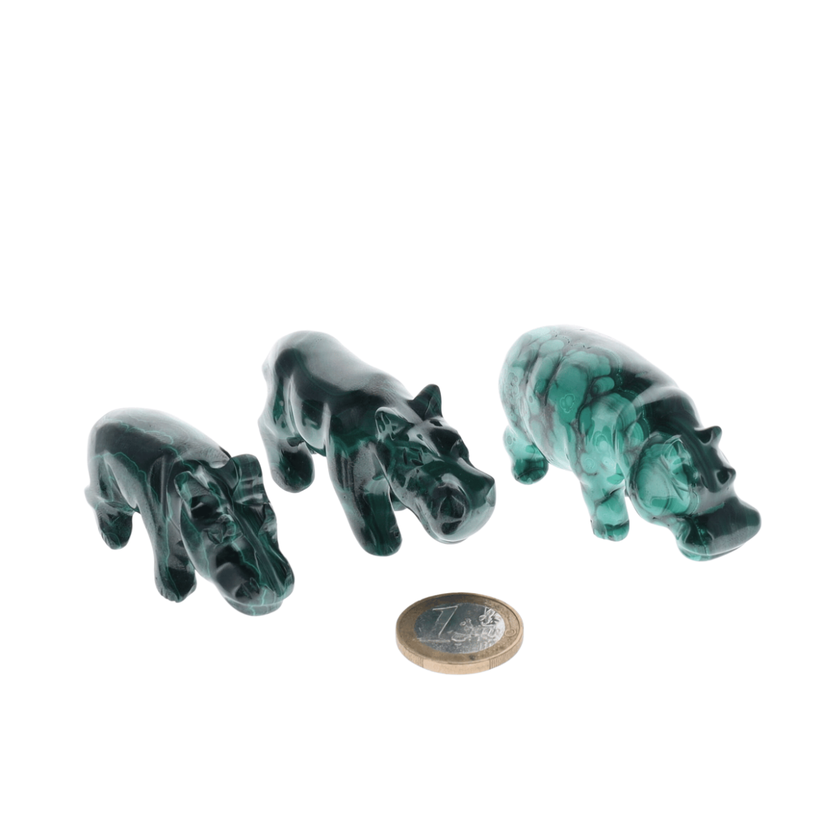Hippopotame Malachite