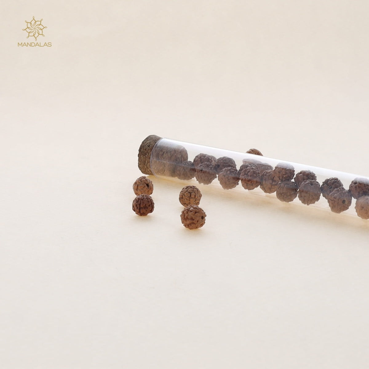 Rudraksha - Bois