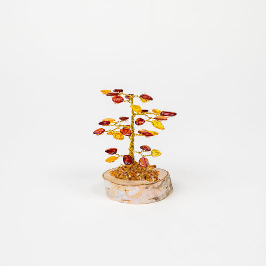 Arbre ambre Sylvia - Petit