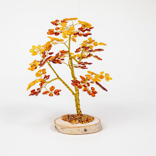 Arbre ambre Sylvia - Grand