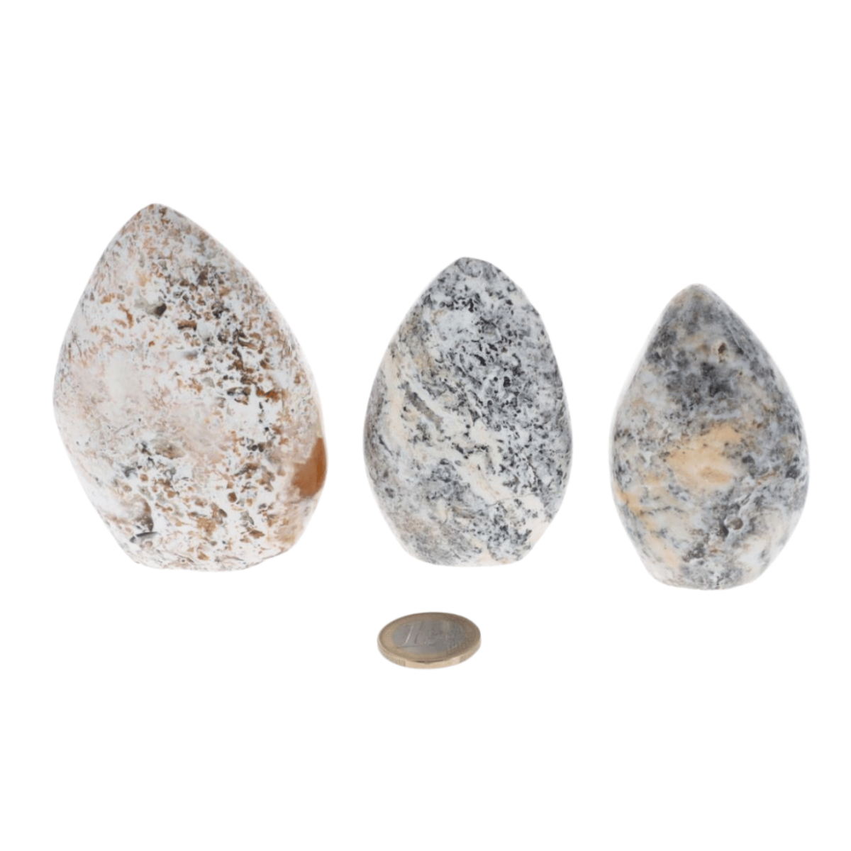 Opale Dendritique 0.520kg