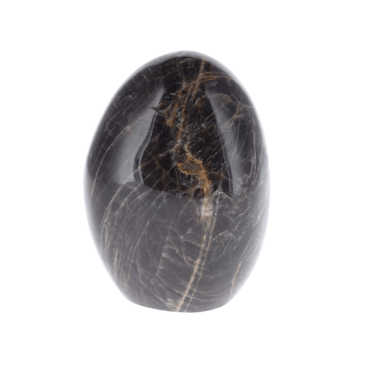 Pierre de Lune noire 0.790kg