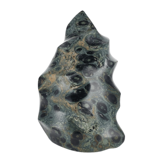 Kambaba Flamme 1.877kg