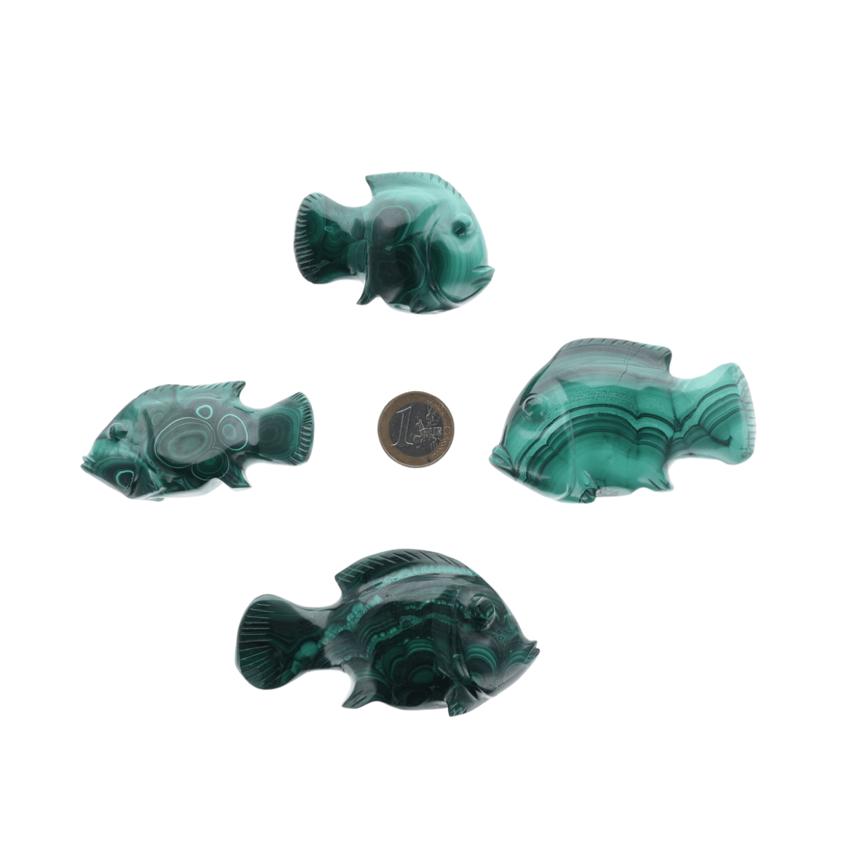 Poisson Malachite
