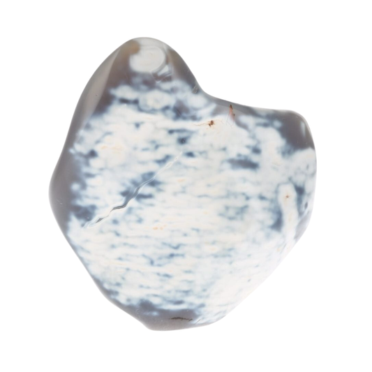 Agate Orca 1.652kg