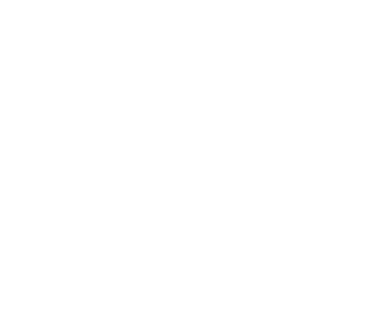 Logo Mandalas