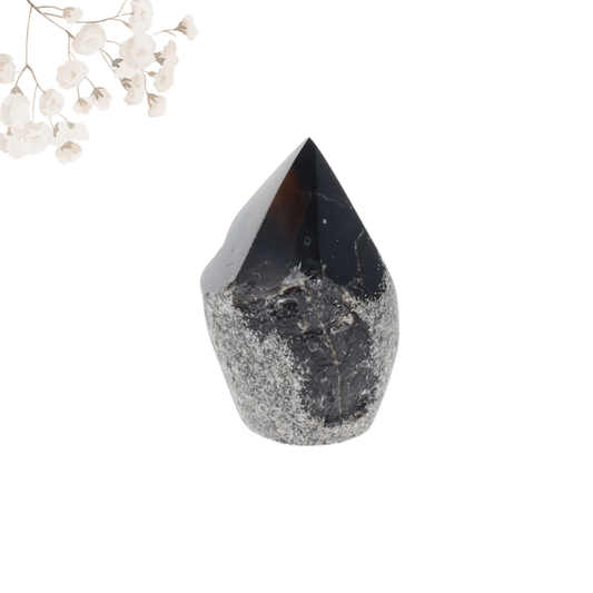 Pointe Agate 0.195kg
