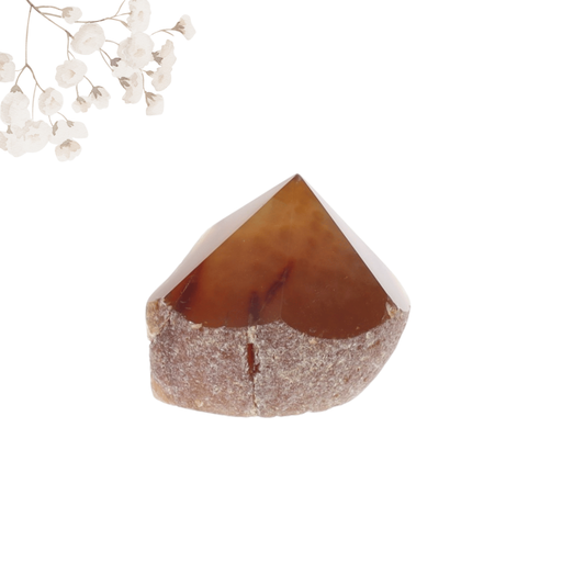 Pointe Agate 0.195kg