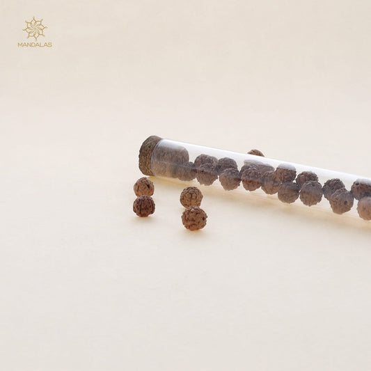 Rudraksha - Bois